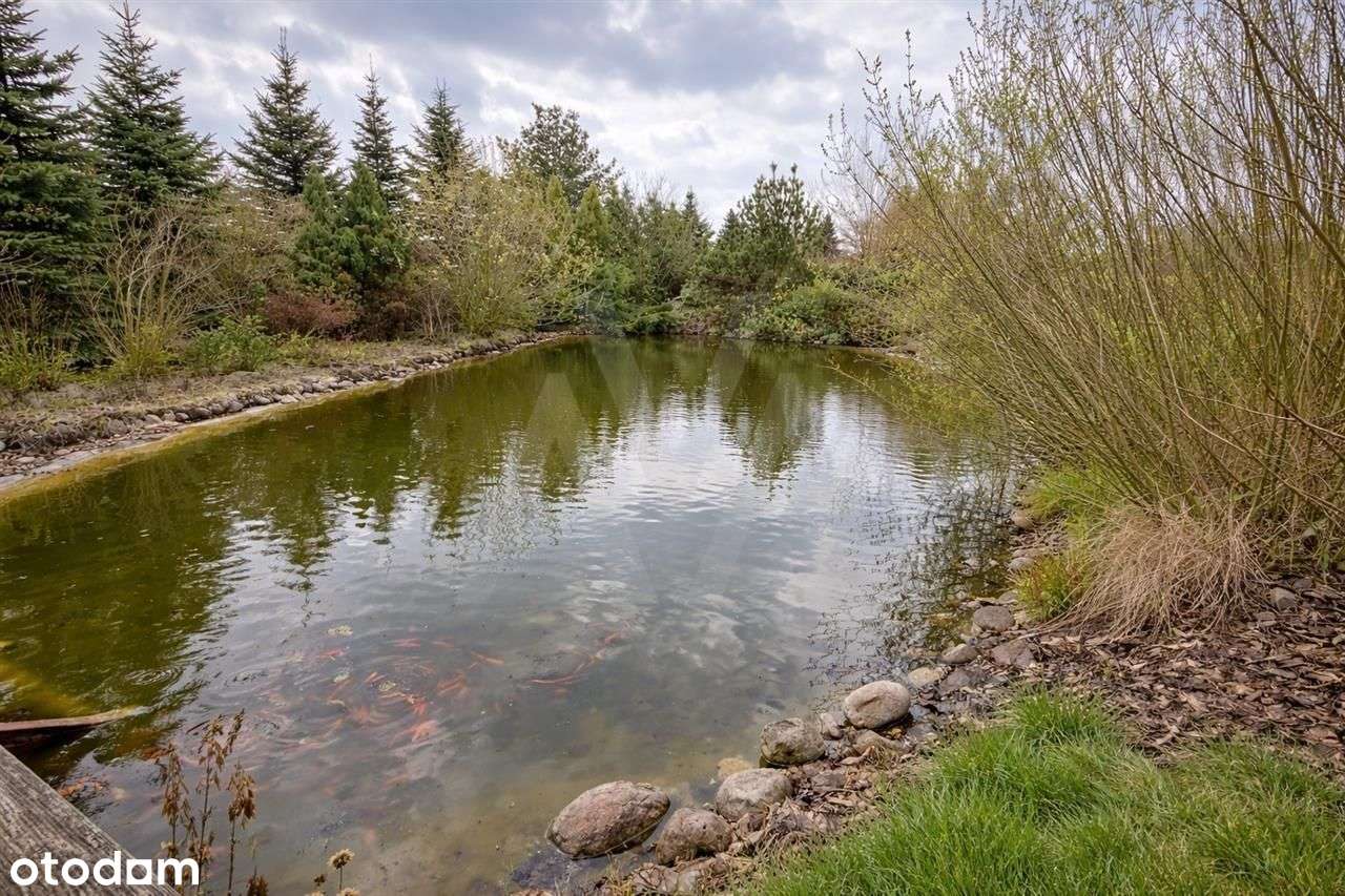 Dom 250m 2,5 km do Pkp Grodzisk-13