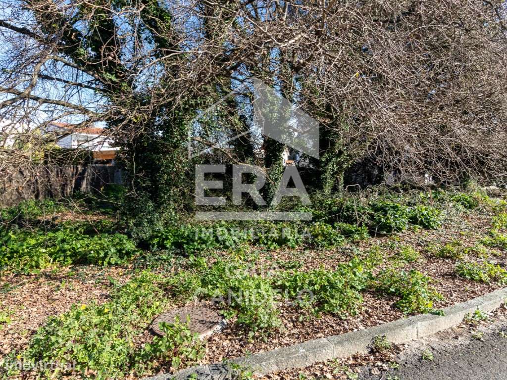 Lote Para Moradia de 4 Frentes - Grande imagem: 5/8