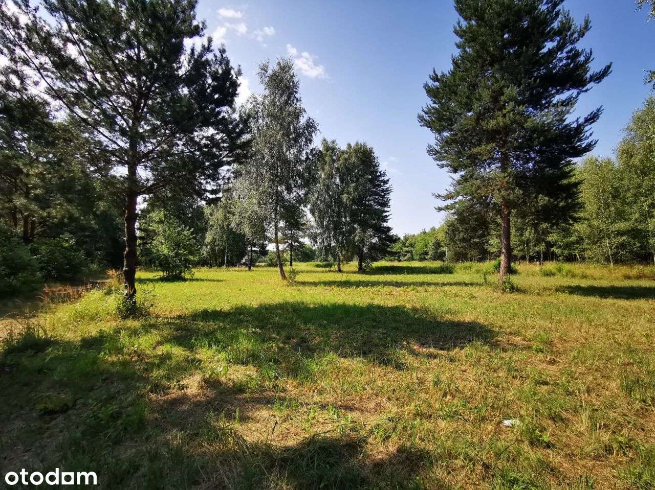 Jeżeli szukasz Intymności to ta działka jest dla C - Pełny obrazek: 4/9