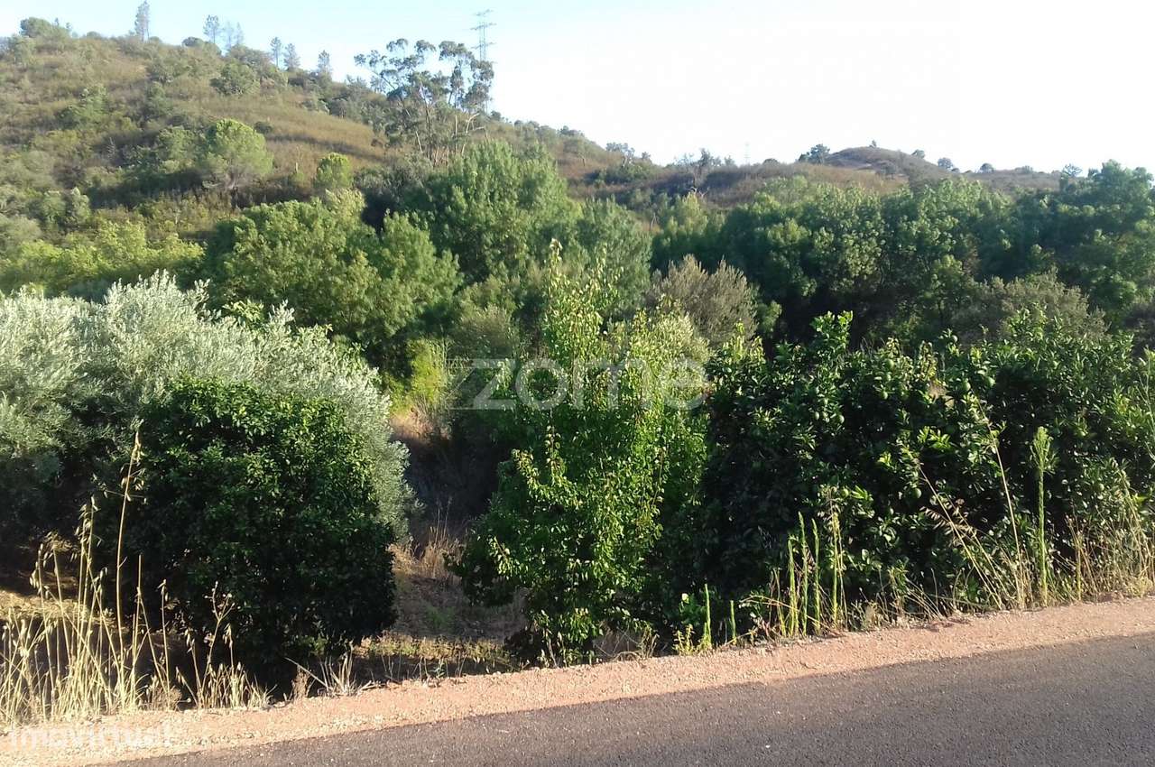 Terreno Rústico Ribeira do Arade, S. Bartolomeu de Messines - Grande imagem: 2/15
