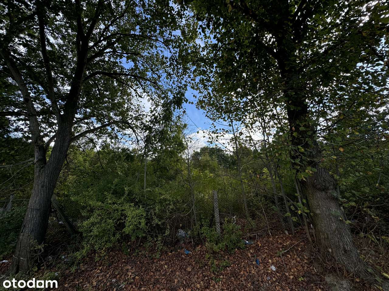 Działka w centrum miasta, Świetna lokalizacja - Mysłowice, Ćmok - Pełny obrazek: 5/11