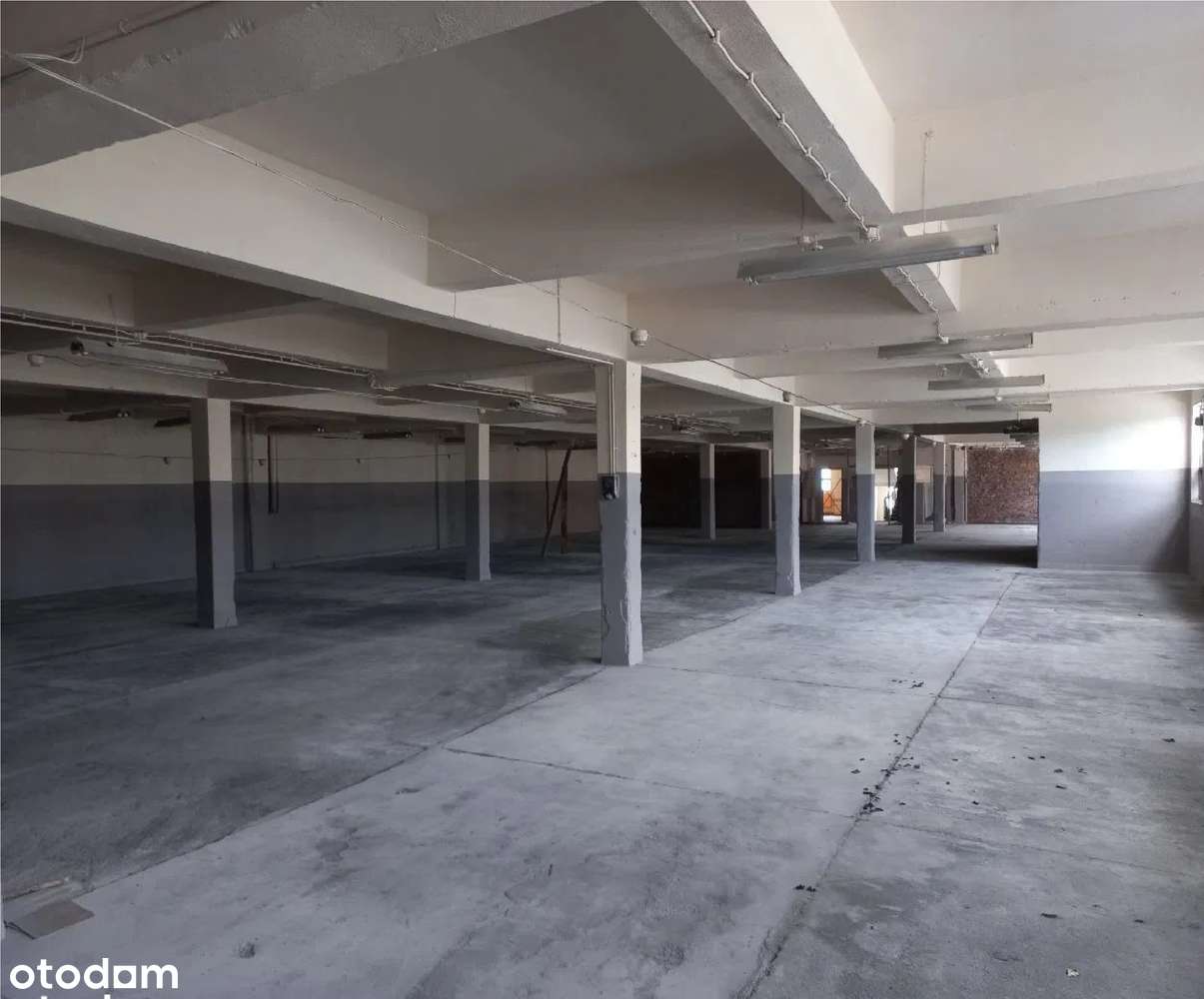 Hala magazynowa - Pełny obrazek: 3/3