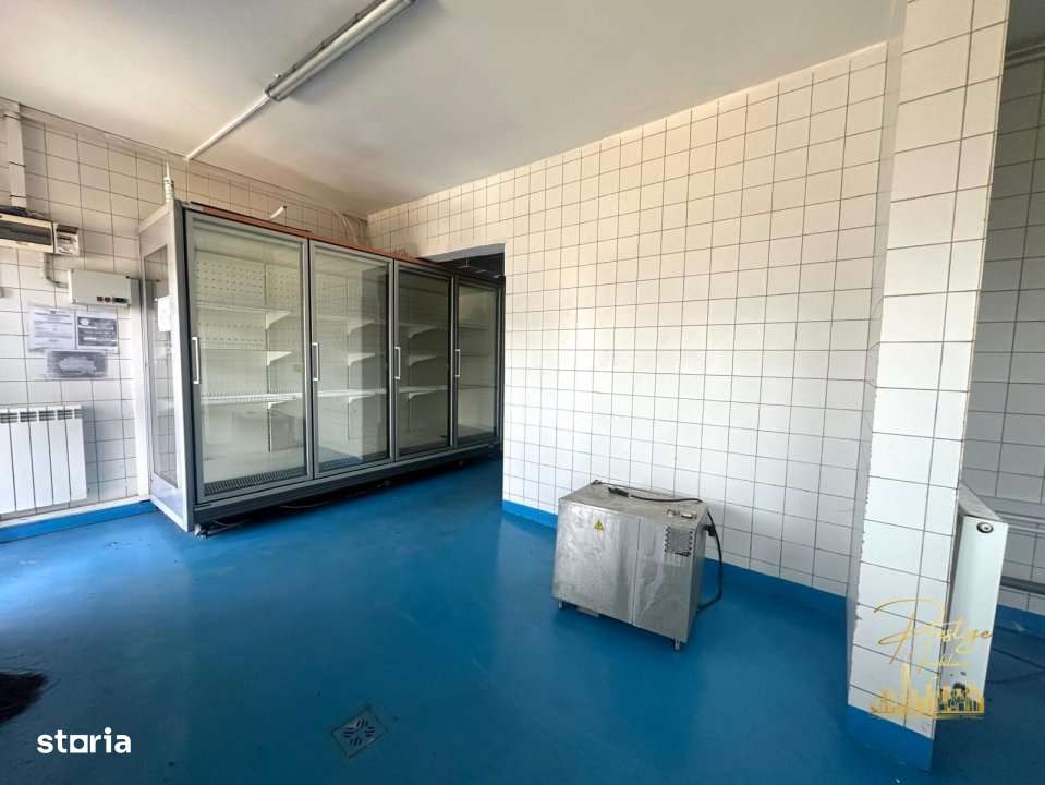 Spatiu industrial - productie alimentara de inchiriat str. Fabricilor - Imagine principală: 1/19