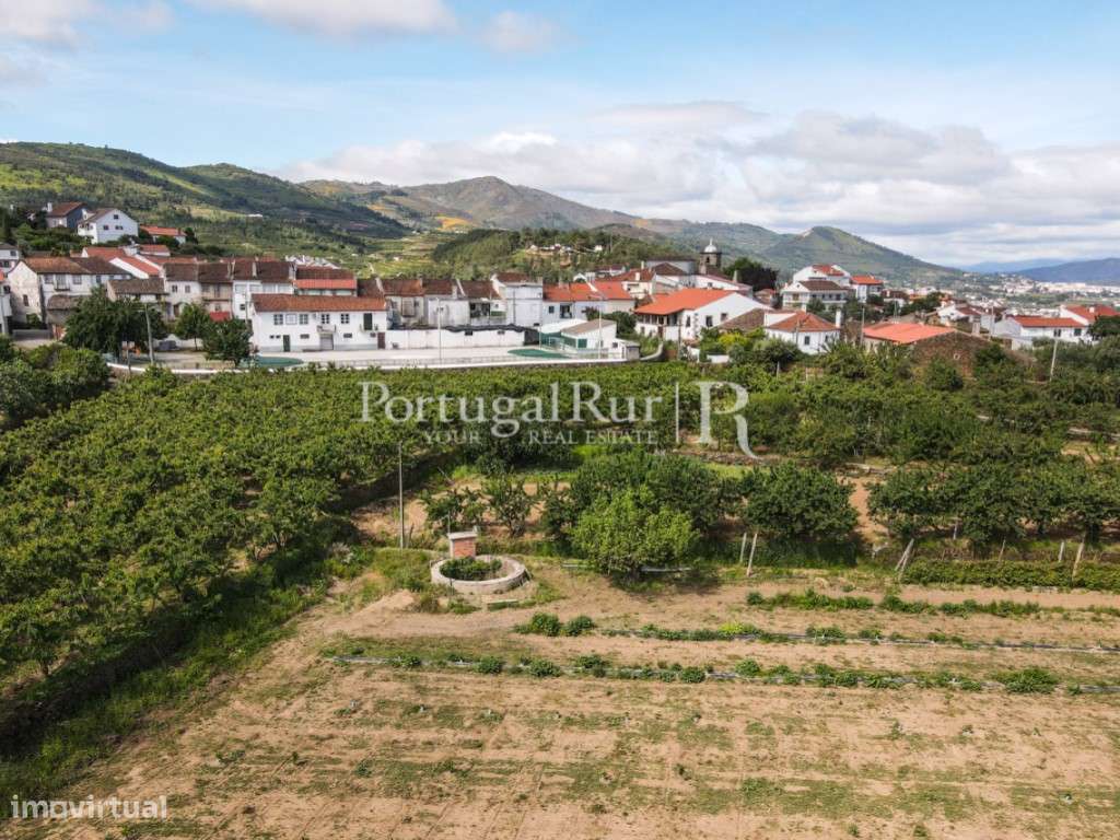 Quinta de 4 ha com 3 casas e cerejeiras no Fundão, ideal para turismo-48