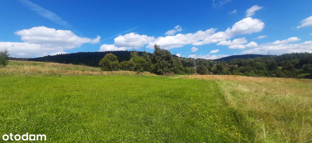 Słoneczna działka przy lesie, budowlana, 8 ar-10