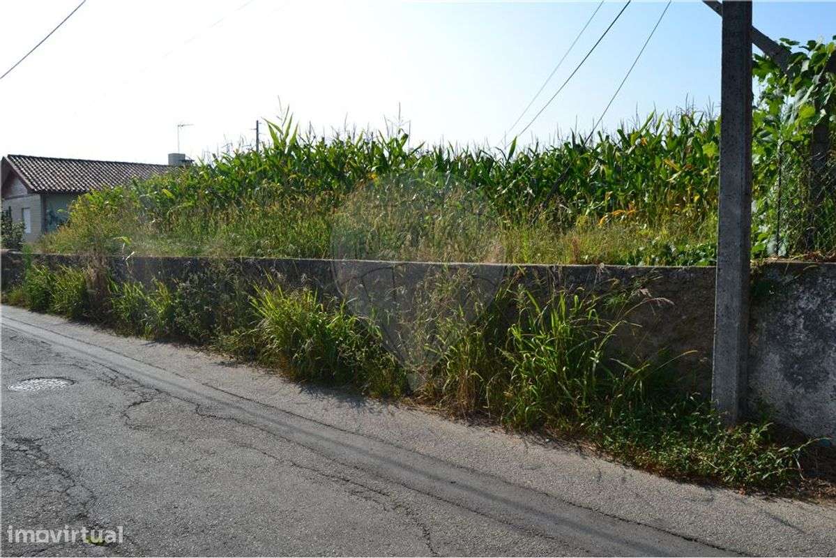 Terreno T0 para venda - Grande imagem: 4/8