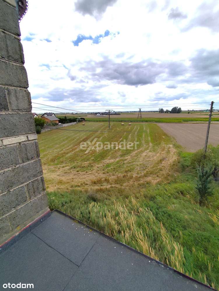 Dom do wykończenia duża działka 5000m2 Kołaczkowo - Pełny obrazek: 4/20