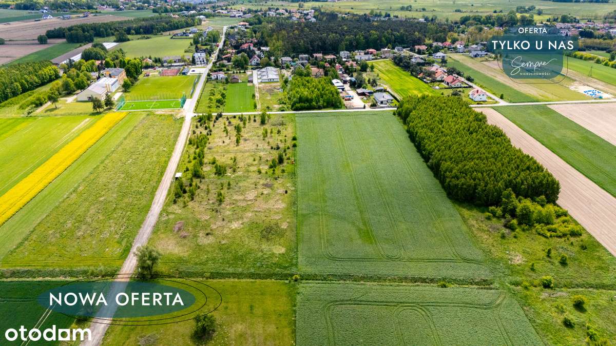 Działka 3000mk Kazimierz blisko szkoły - Pełny obrazek: 4/10