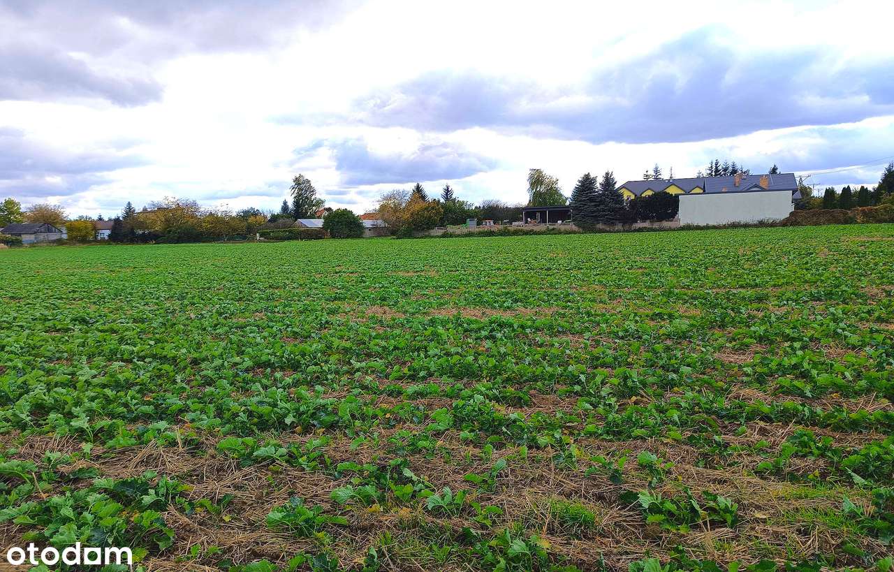 Działki budowlane Płoskie-8