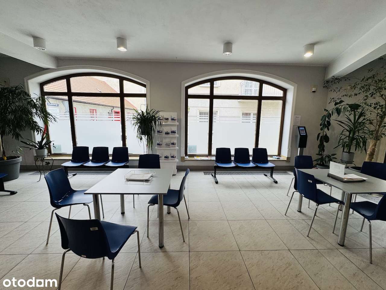 Lokal handlowo/usługowy na usługi medyczne lub inne, centrum - Pełny obrazek: 4/8