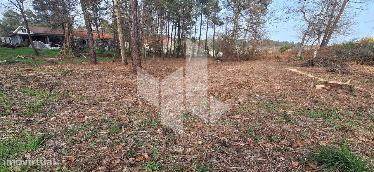 Terreno Para Construção  Venda em São Miguel do Outeiro e Sabugosa,Ton - Grande imagem: 3/12
