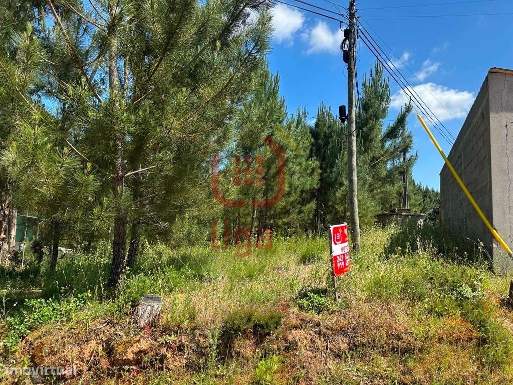 Terreno Com Viabilidade de Construção, Ourém! - Grande imagem: 4/9