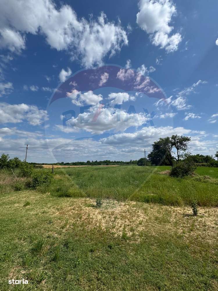 Teren Ferbinti Targ - 3.500 Mp - Imagine principală: 2/3