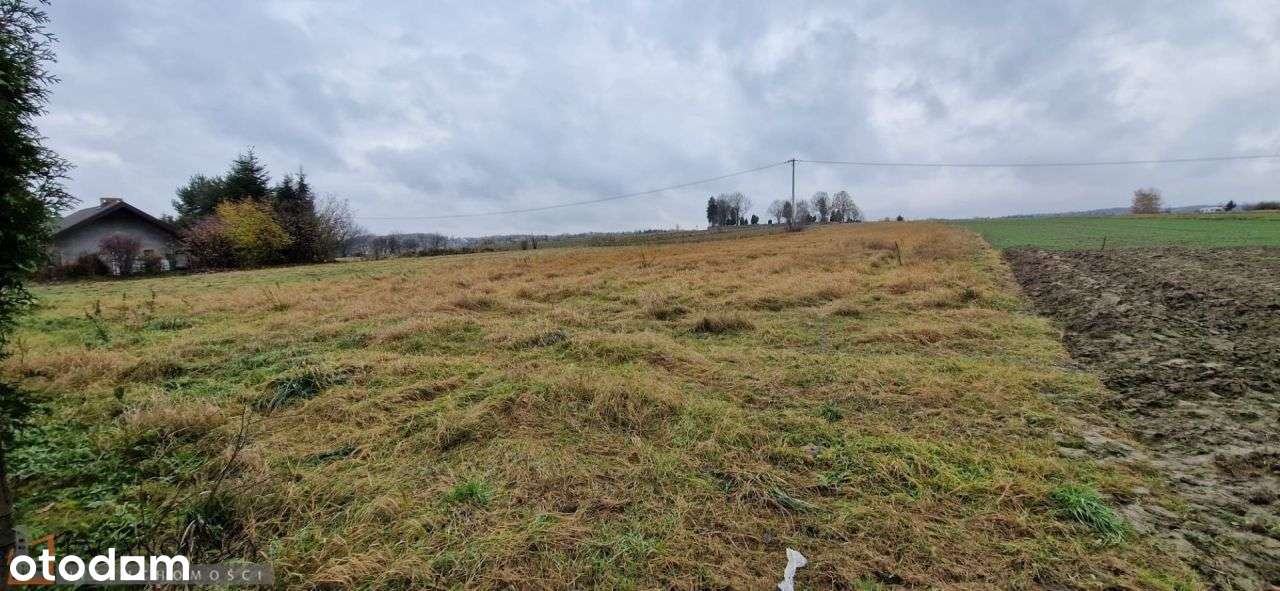 Działka, 6 900 m², Biały Kościół