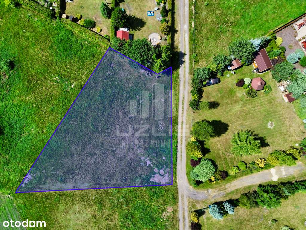 Działka 980 m² w Ocyplu – las, cisza, MPZP, prąd - Pełny obrazek: 5/14