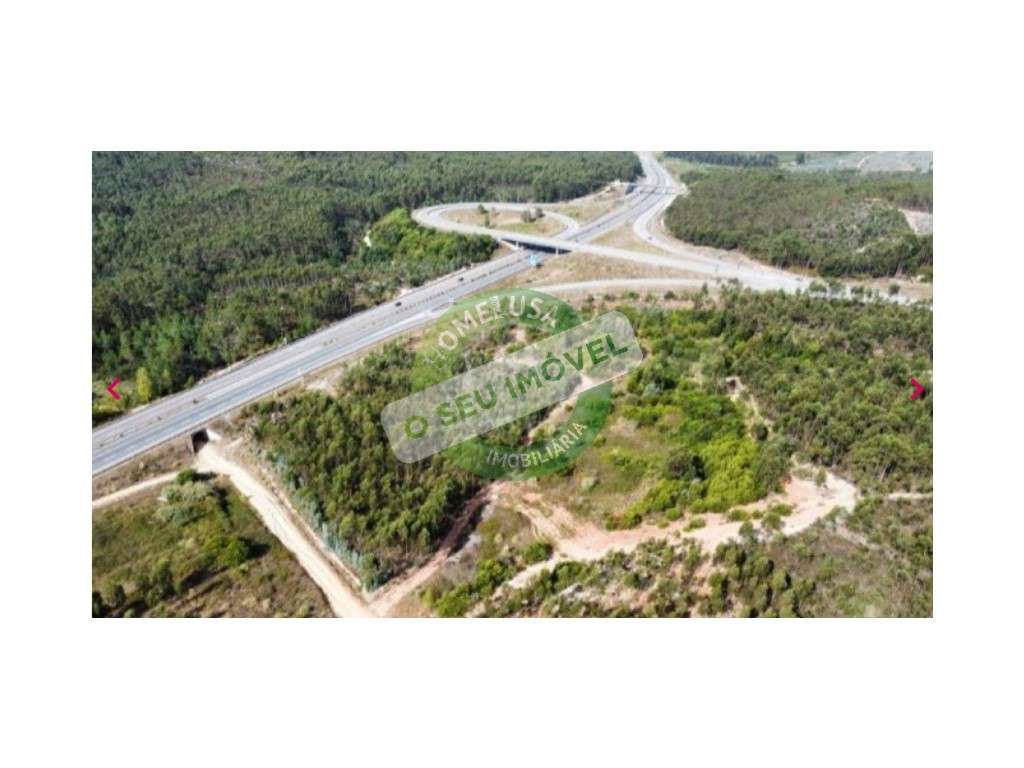 Terreno Rústico à saída da A14 - Grande imagem: 3/6