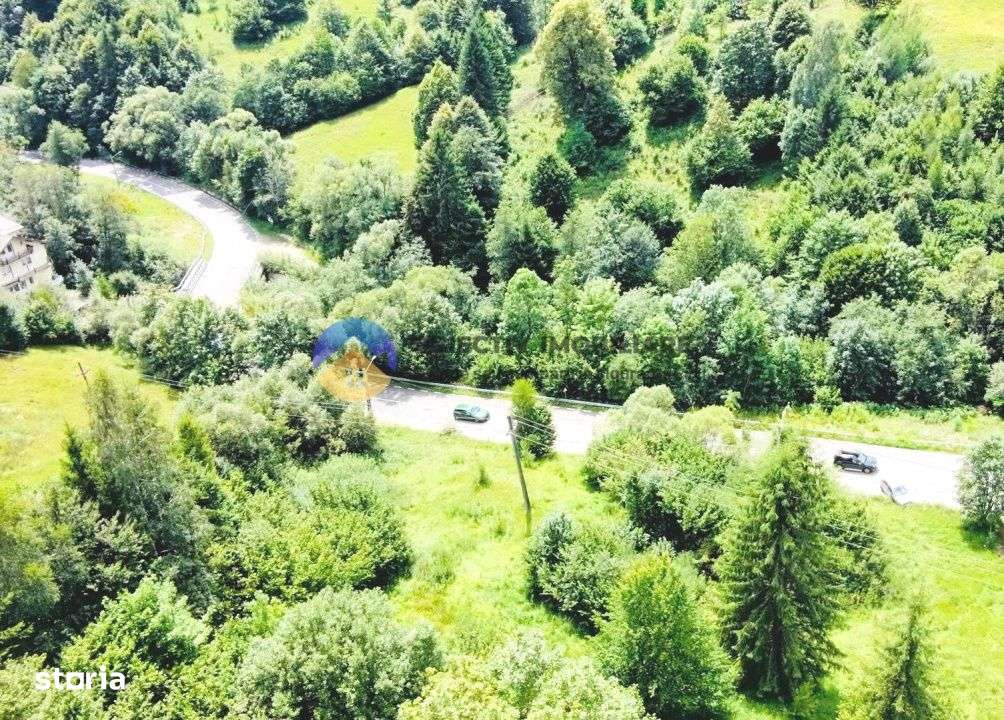 TEREN Izvoru Muntelui, langa orasul BICAZ - Imagine principală: 5/9