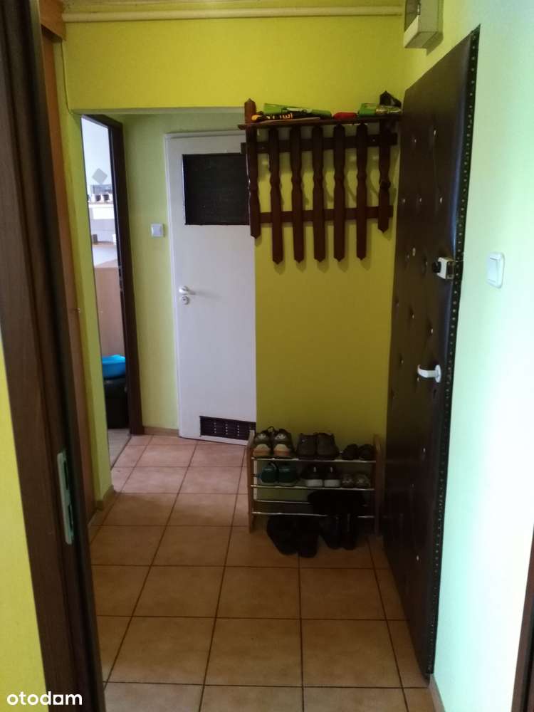 Mieszkanie 2 pokojowe na osiedlu Leśnym bez pośredników - Pełny obrazek: 5/6