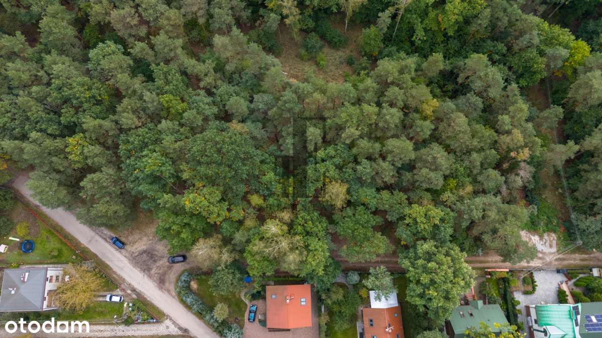Piękna działka w leśnej zabudowie - Pełny obrazek: 5/9