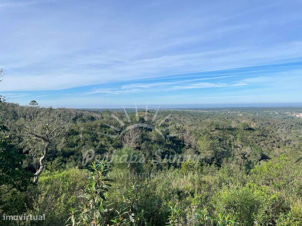 Prédio Rústico - Melides - Grande imagem: 4/15