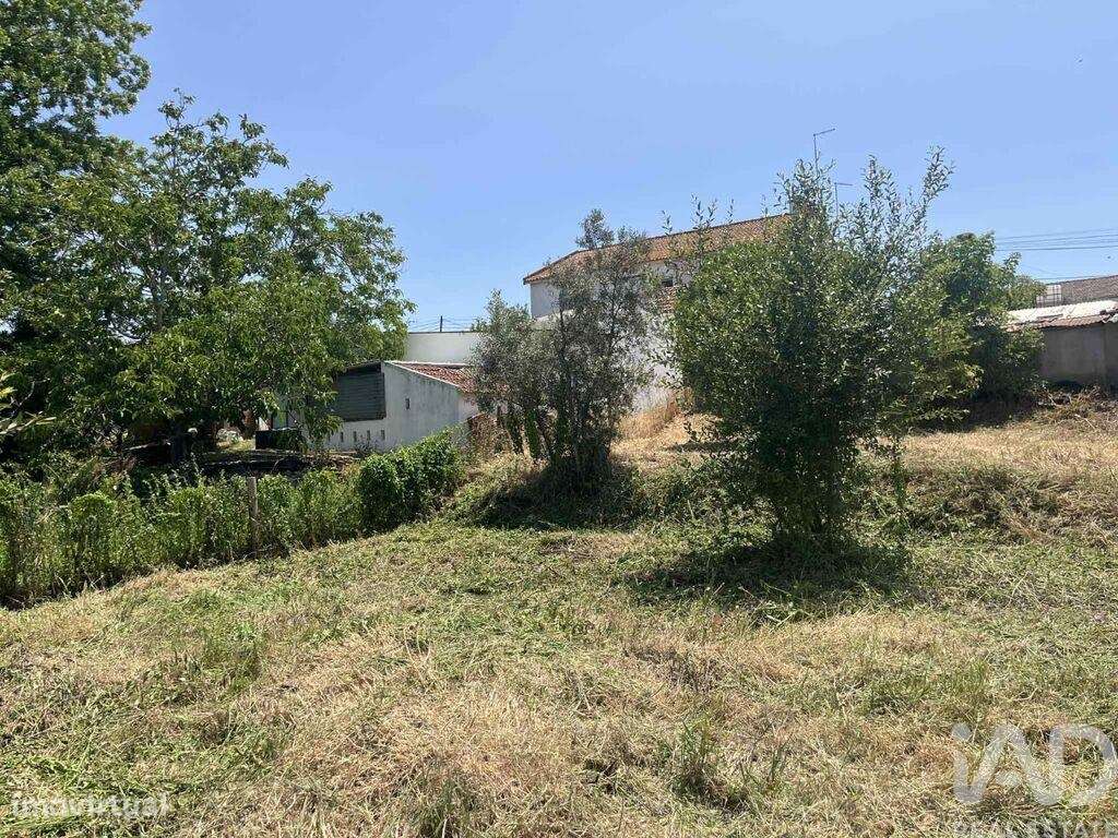 Terreno para construção em Coruche, Fajarda e Erra de 912,00 m2 - Grande imagem: 5/10