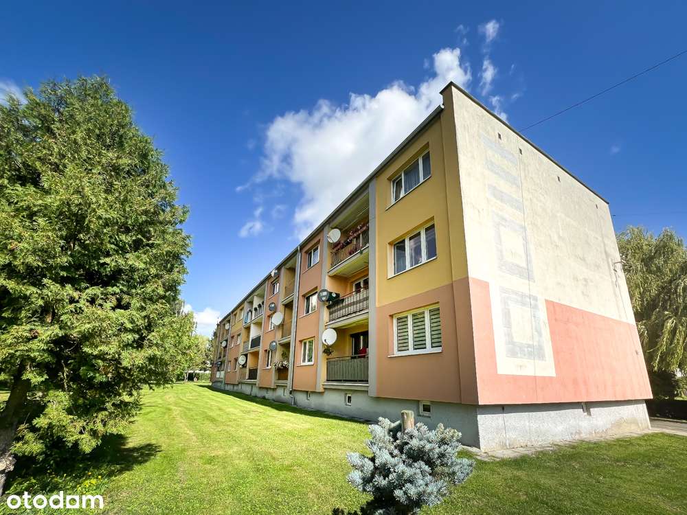 Dla singla, pary lub pod wynajem - 40 m2 gotowe na nowe historie!-7