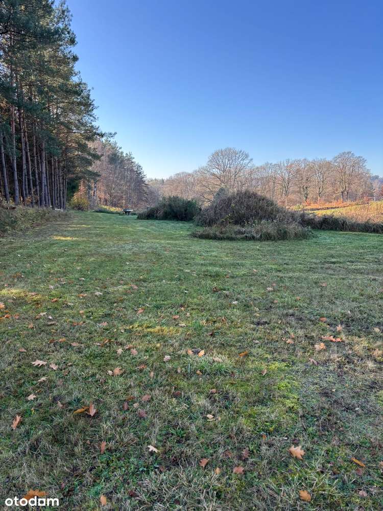 Działka siedliskowa z wydanymi warunkami zabudowy + stawy rybne-16