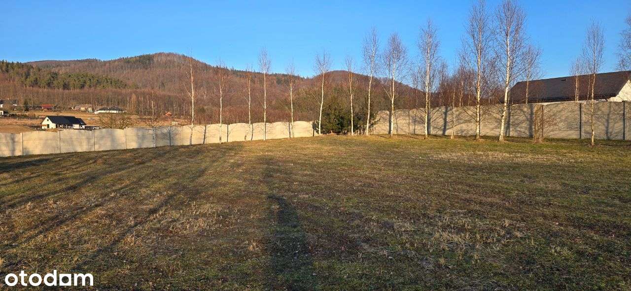 Działka budowlana - Dzikowiec - Pełny obrazek: 2/9