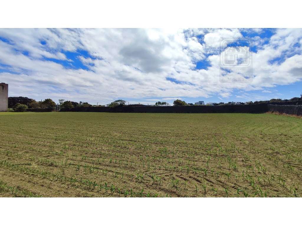 VENDA de TERRENO com potencial para Construção - São José, Ponta De... - Grande imagem: 4/11