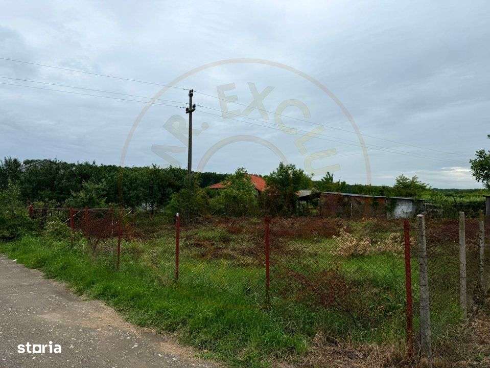 Teren Intravilan Padurea Noroieni - Imagine principală: 4/9