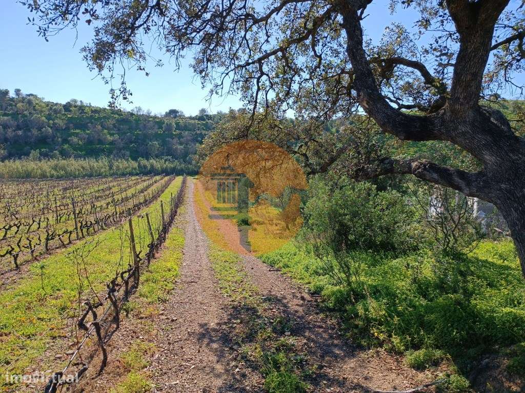 TERRENO RUSTICO COM 6.520 M2 - JUNTO A LINHA DA AGUA - PISA BARRO -... - Grande imagem: 4/33