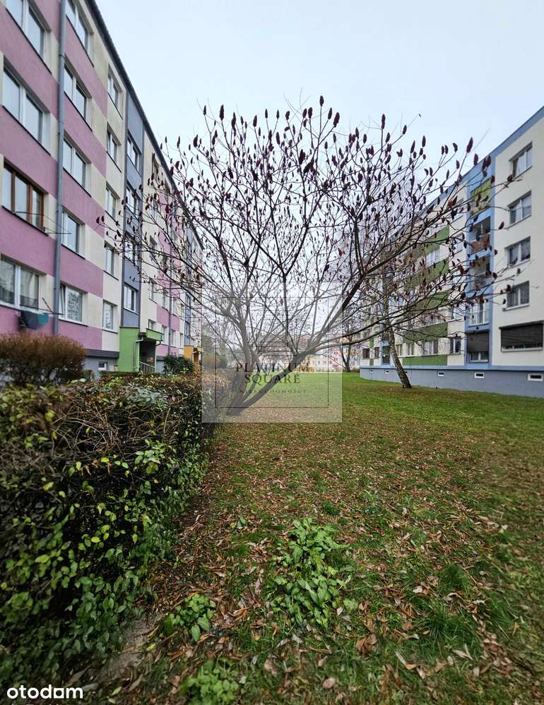 3 pokoje I 58,20 m² I I piętro I Pełny rozkład IDwustronne I Loggia-13