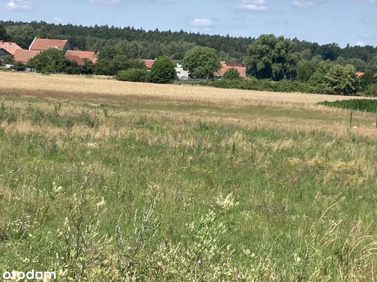 Działka, 6 000 m², Komorówko-1