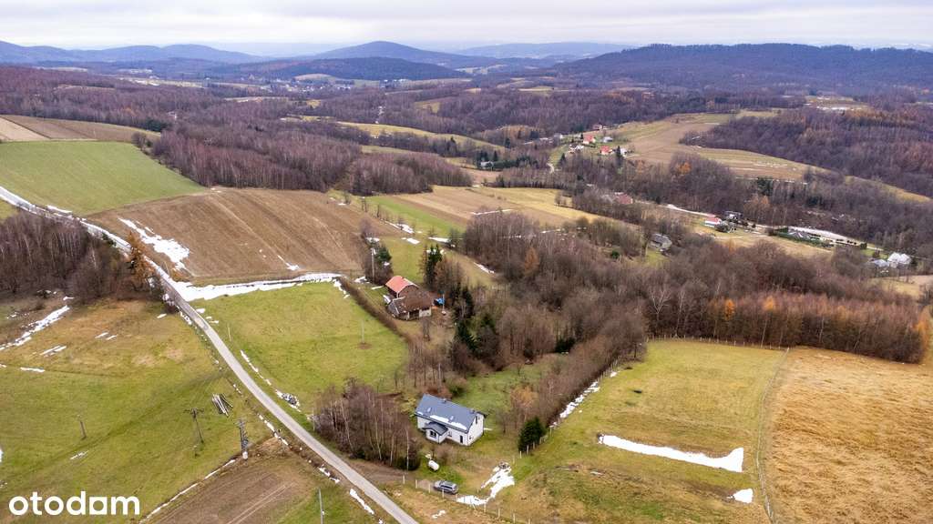 Działka pod zabudowę z WZ - 2826 m2 | Niebocko-3