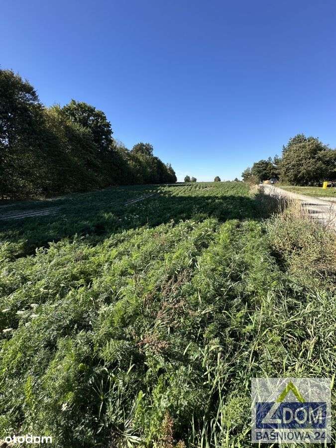 2 działki pod Lublinem-4