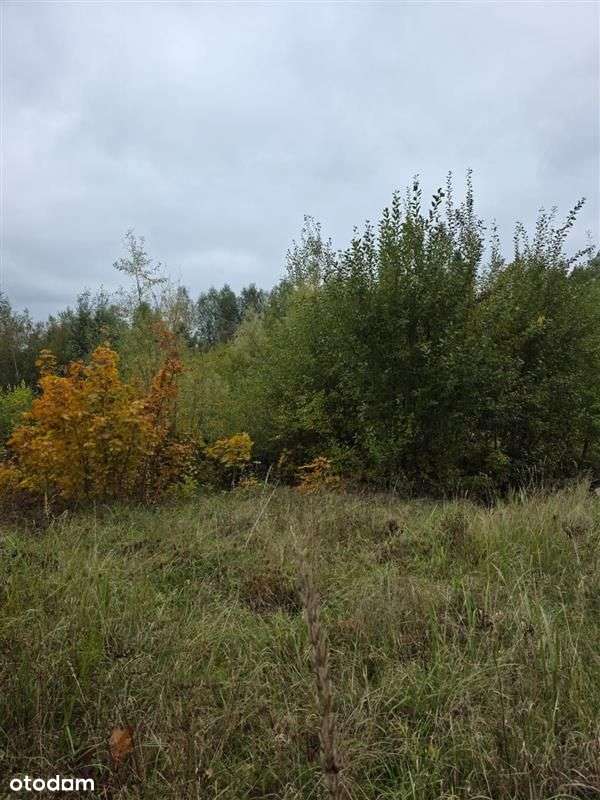 Działka budowlana - Sztum - Pełny obrazek: 5/8