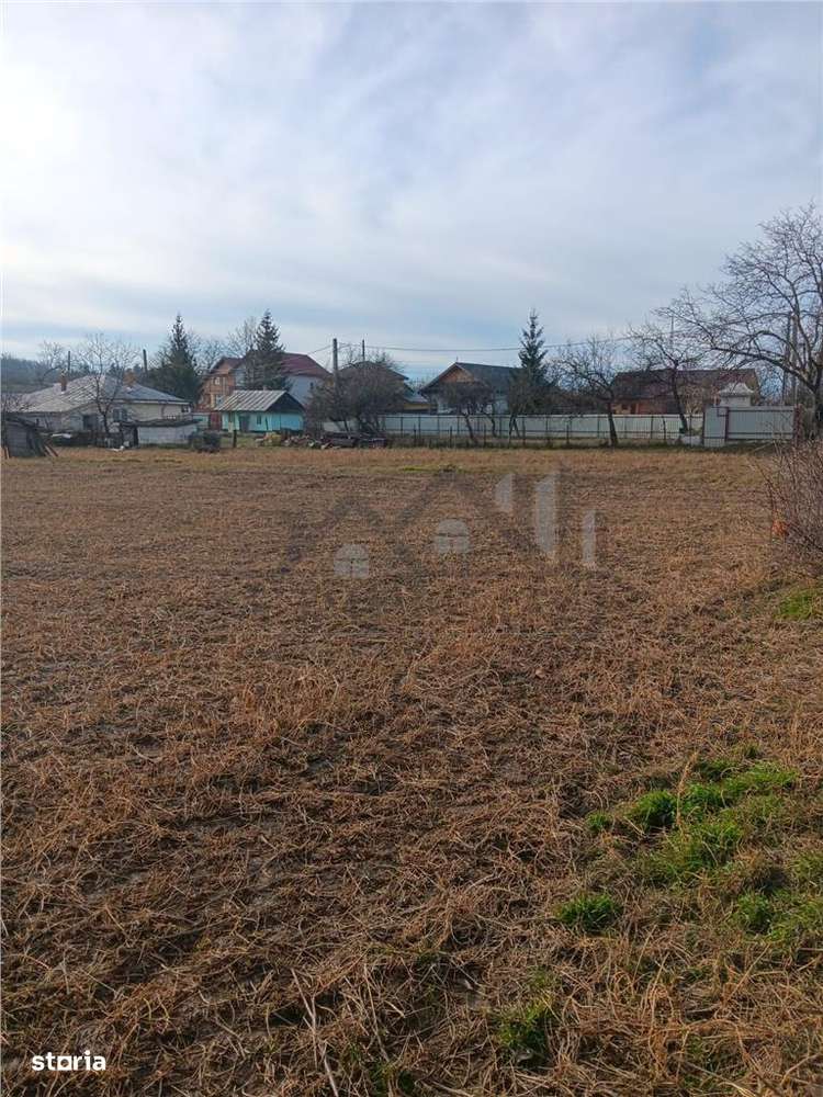 Teren 3500mp. Paun Bucium la asfalt cu toate utilitatile - Imagine principală: 1/7