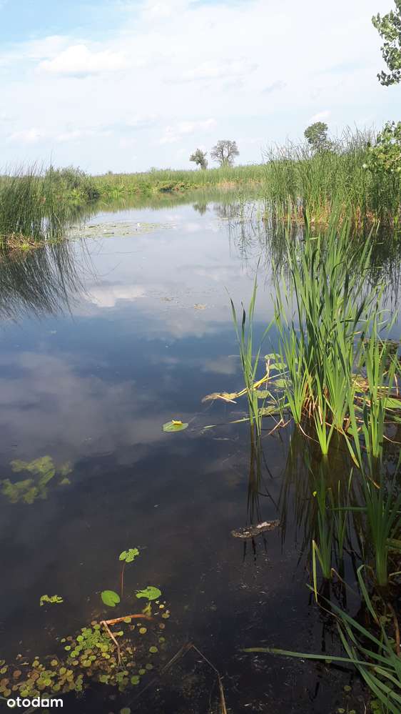 Działka rolna na sprzedaż, świetna lokalizacja!-7