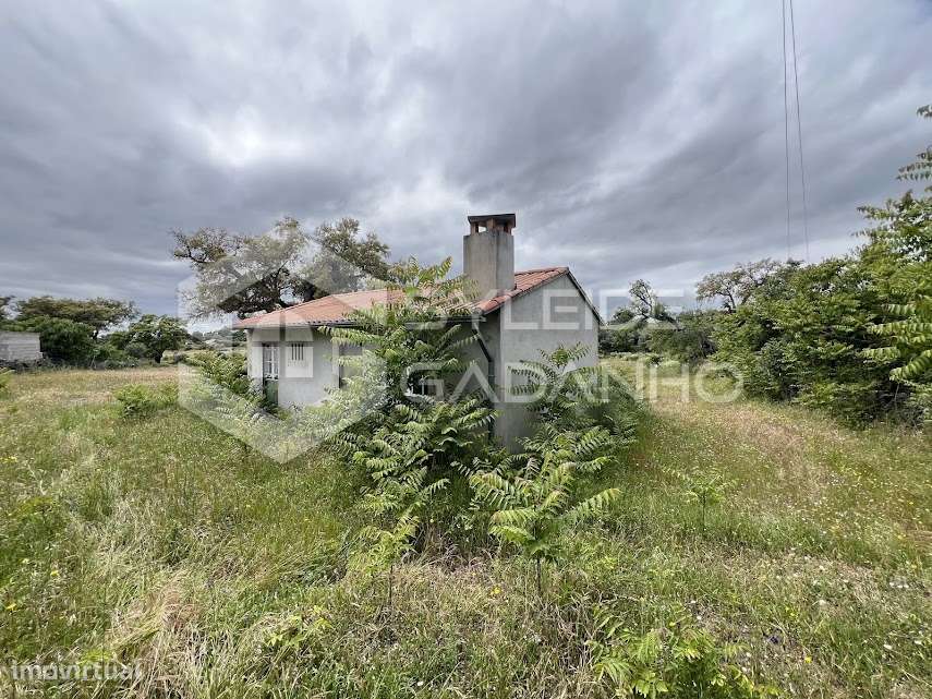 Terreno com casa agrícola para VENDA em São Miguel de Acha-16