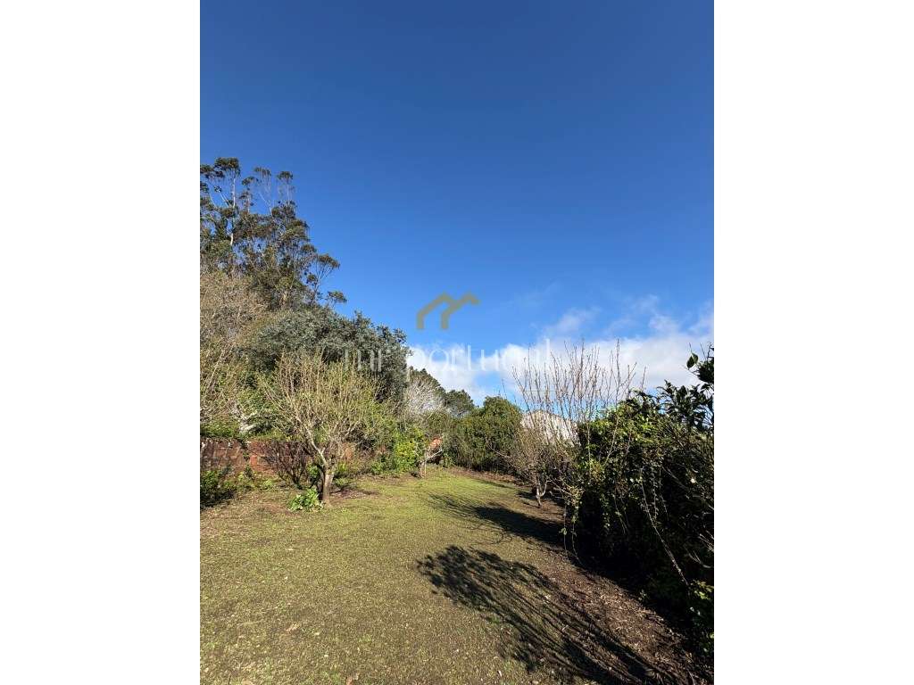 Quintinha em Mafra com 5.375m² | Moradia T2 + Potencial de Construç...-16