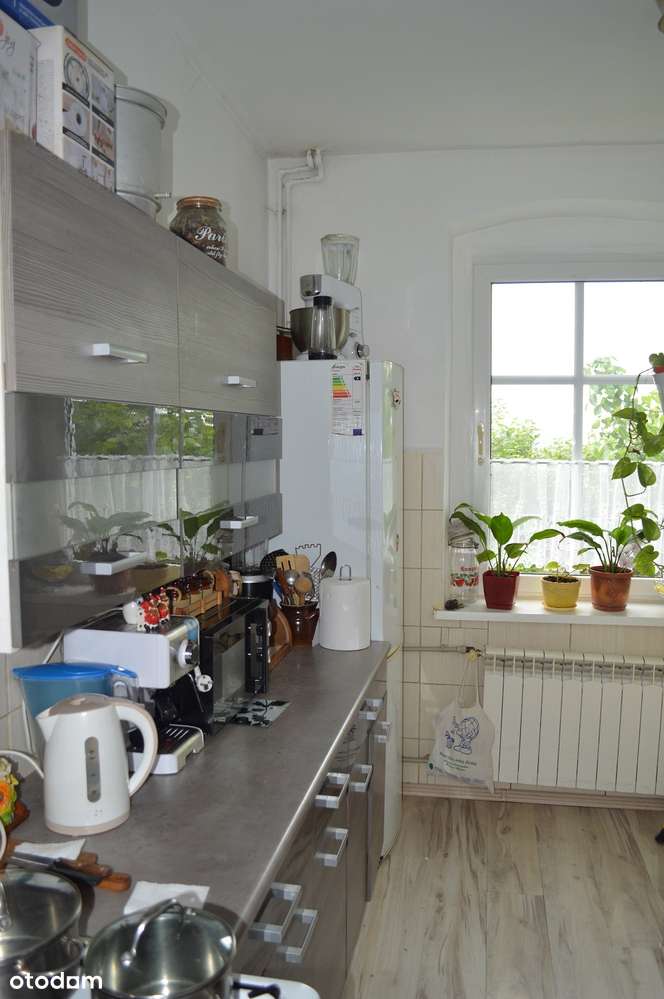 Dom – 5 km od Dobrego Miasta-16