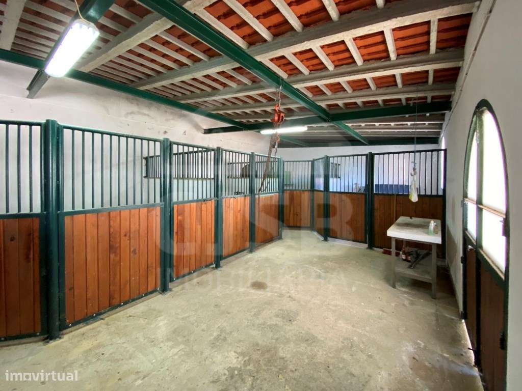 Excelente Quinta na Subserra, Alhandra - Vista Magnifica-50