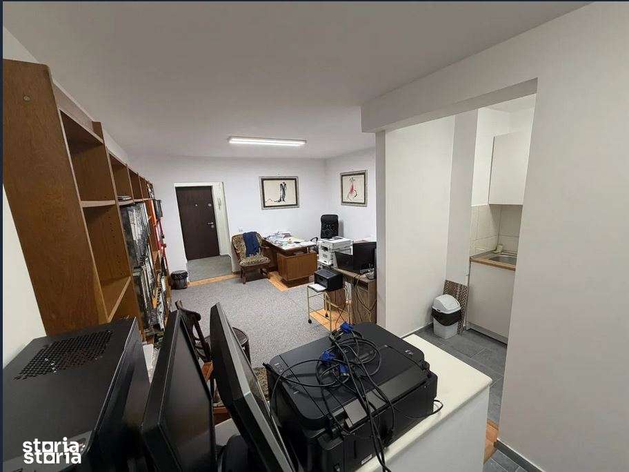 garsoniera colentina teiul doamnei obor-8