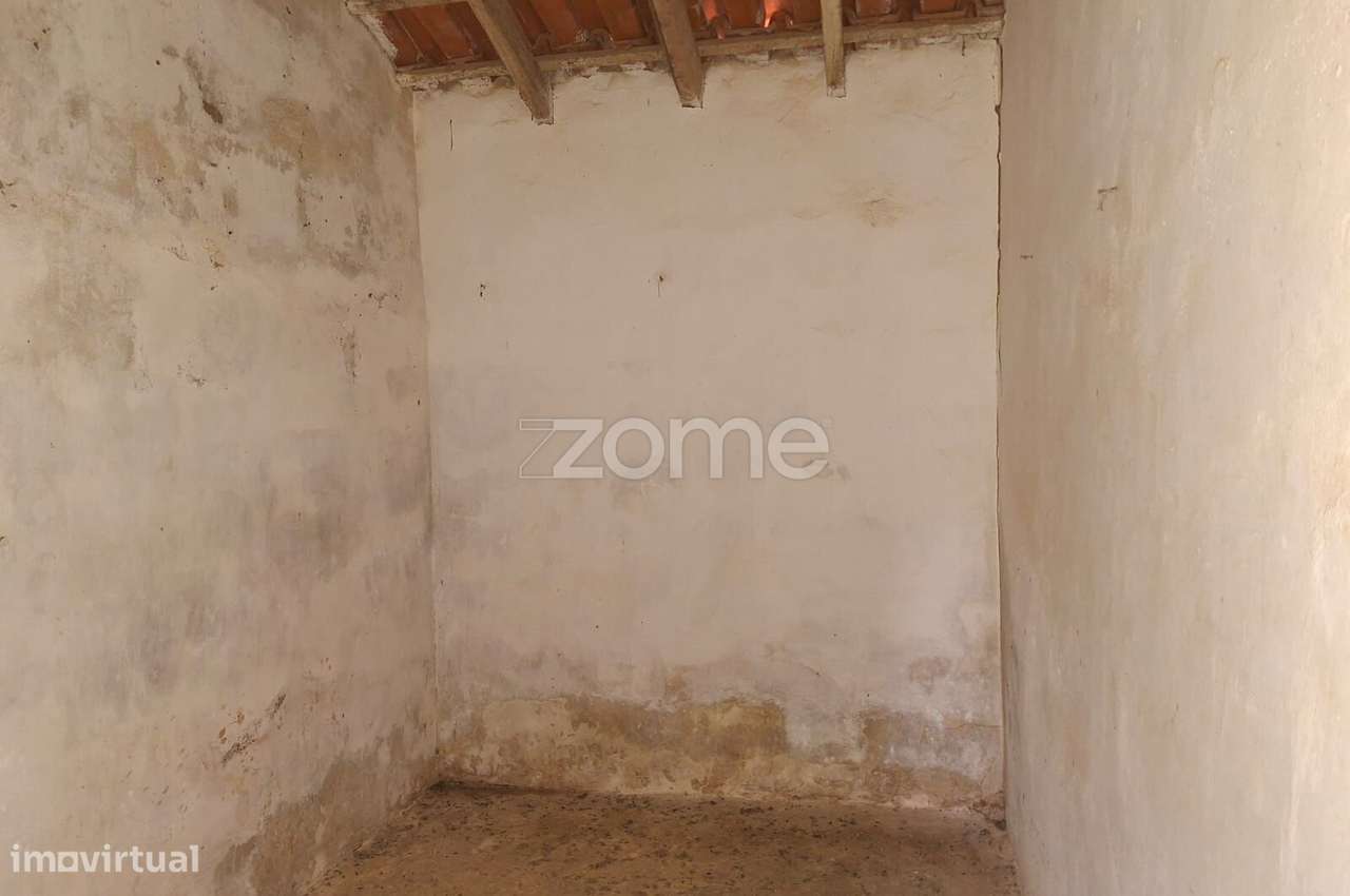 Moradia com terreno com 1ha. - Grande imagem: 5/20