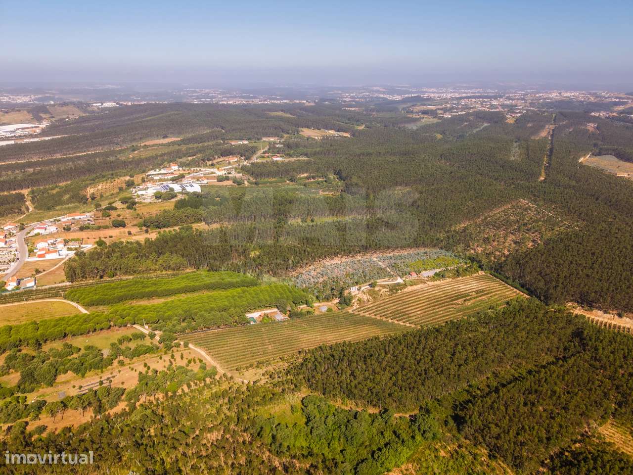 Terreno Agrícola na Fanadia | 16.100 m² de Potencial e Infraestrutu...-37