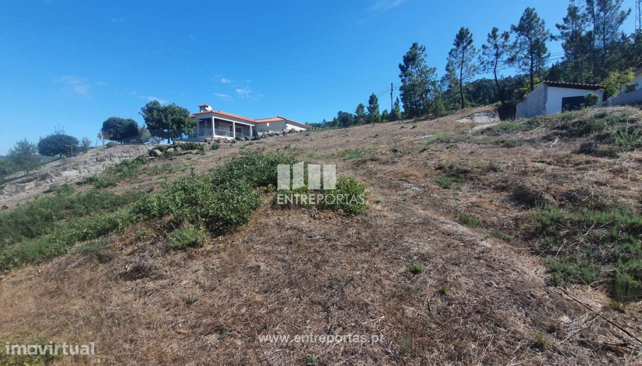 Venda Terreno com 1264 m2 e viabilidade de construção, São Simão, - Grande imagem: 2/30