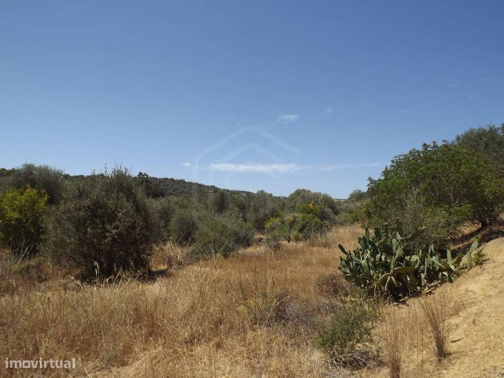 Terreno rústico com uma área de 7.600, Fontes da Matosa, Algarve - Grande imagem: 2/13