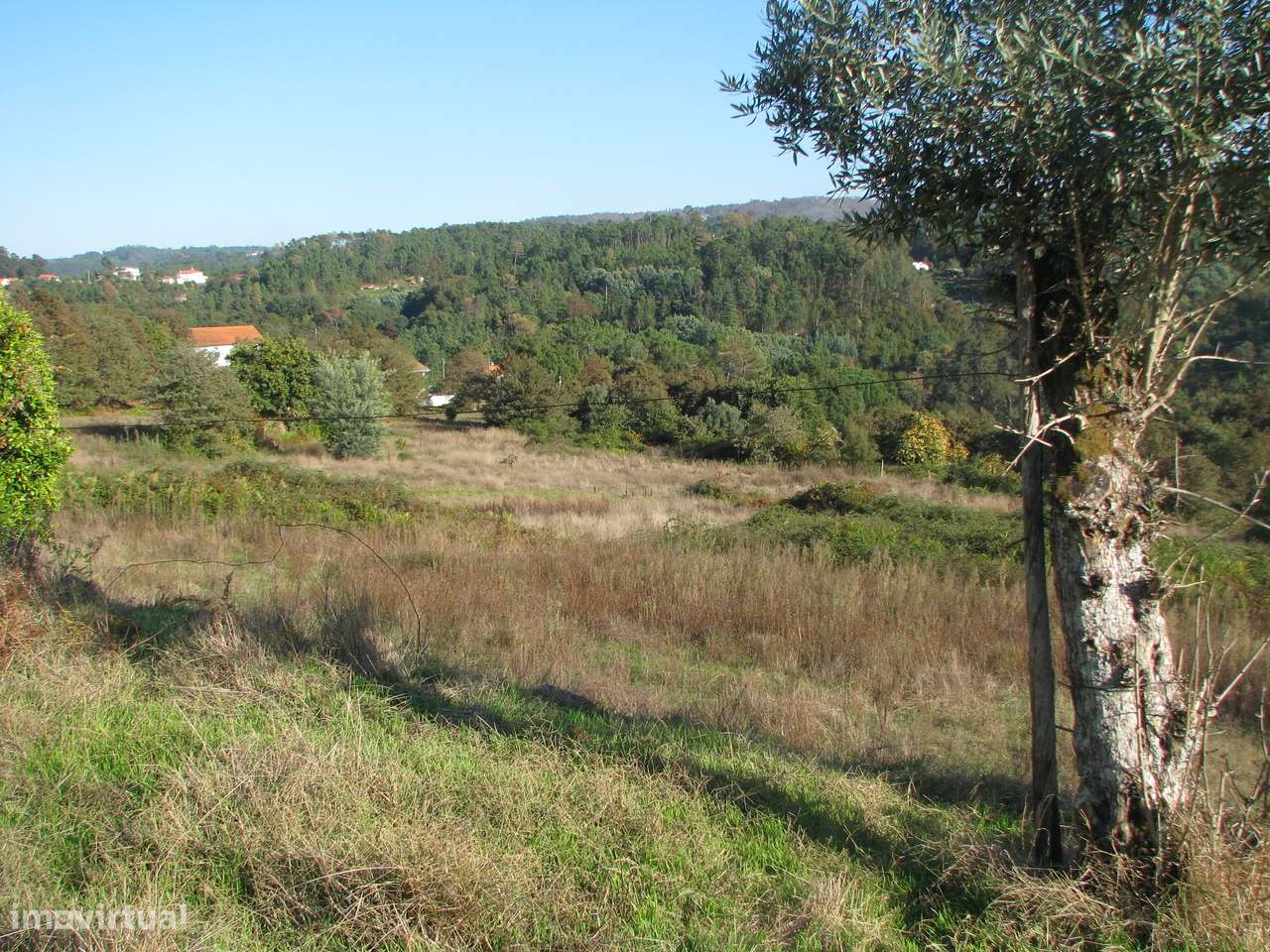 Quinta com casa em ruínas-12