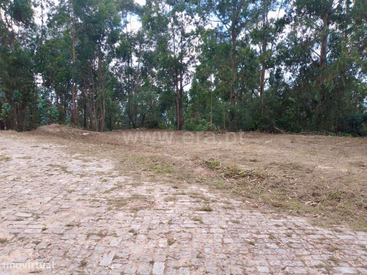 Terreno para construção em Rebordosa - Paredes - Grande imagem: 2/6