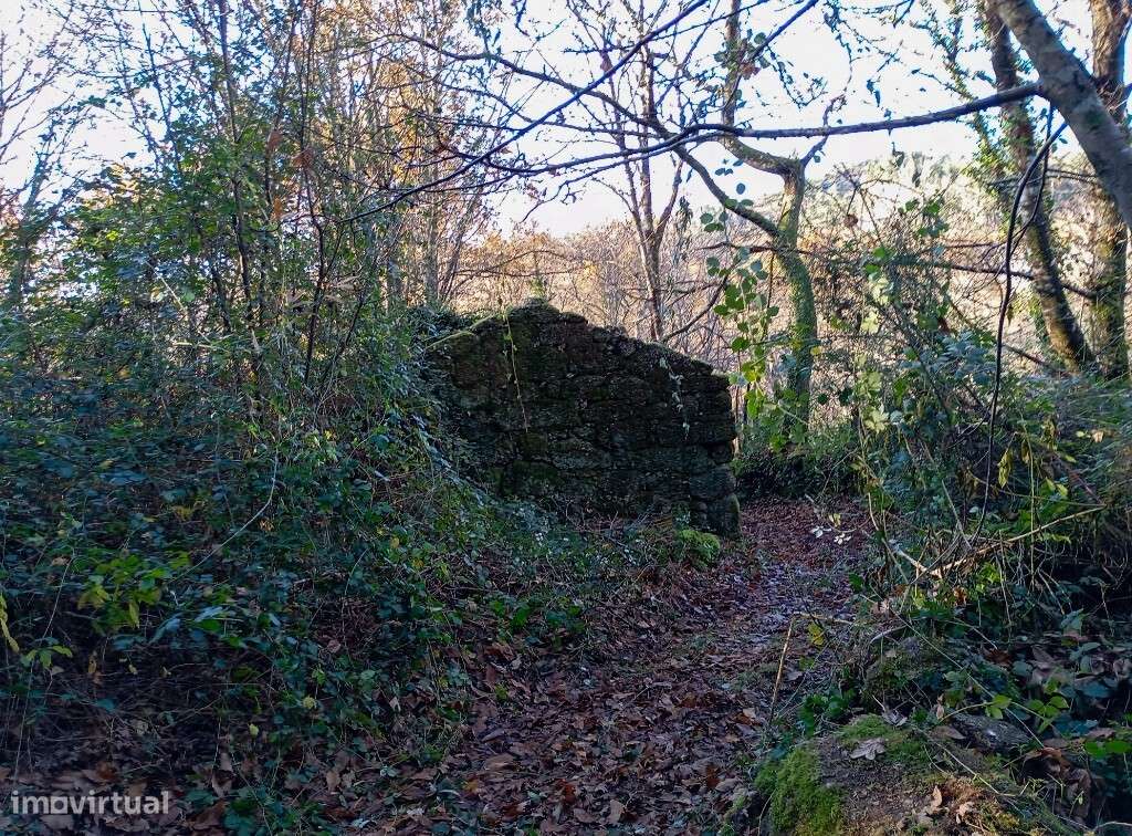 Quinta c/ Ruína - Mosteiro - Grande imagem: 4/23